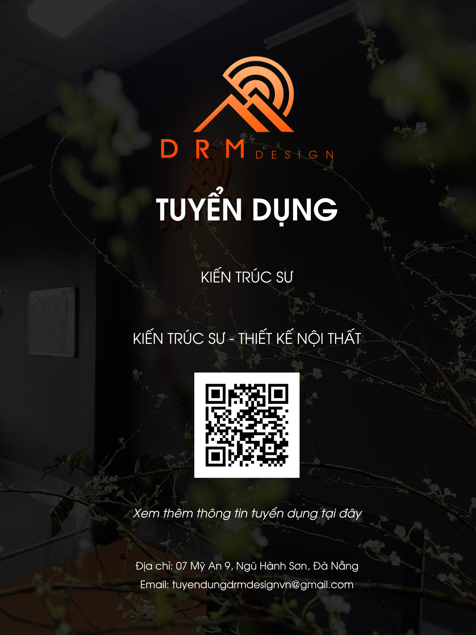 lĩnh vực hoạt động